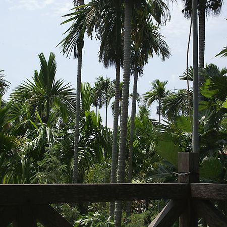 Lila Homestay Хойан Экстерьер фото