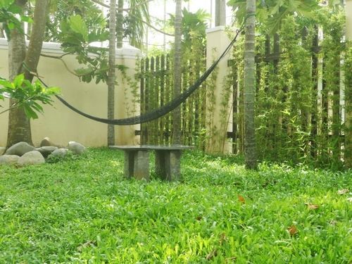 Lila Homestay Хойан Экстерьер фото